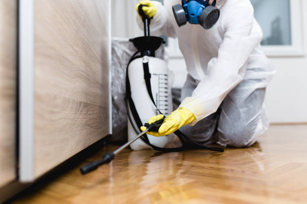 Best Wildlife Control Services  in Gap, PA