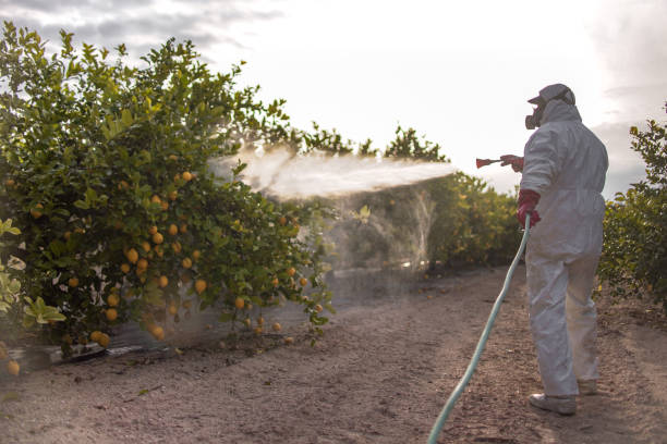 Insect Control in Gap, PA