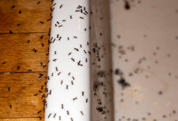 Wildlife Control Services in Gap, PA