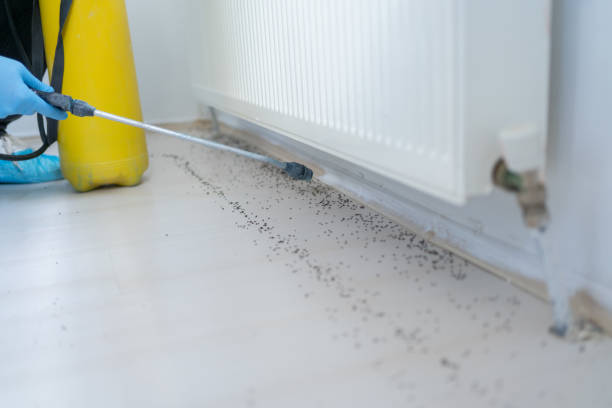 Professional Pest Control in Gap, PA