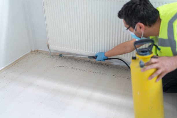 Best Affordable Pest Control Services  in Gap, PA